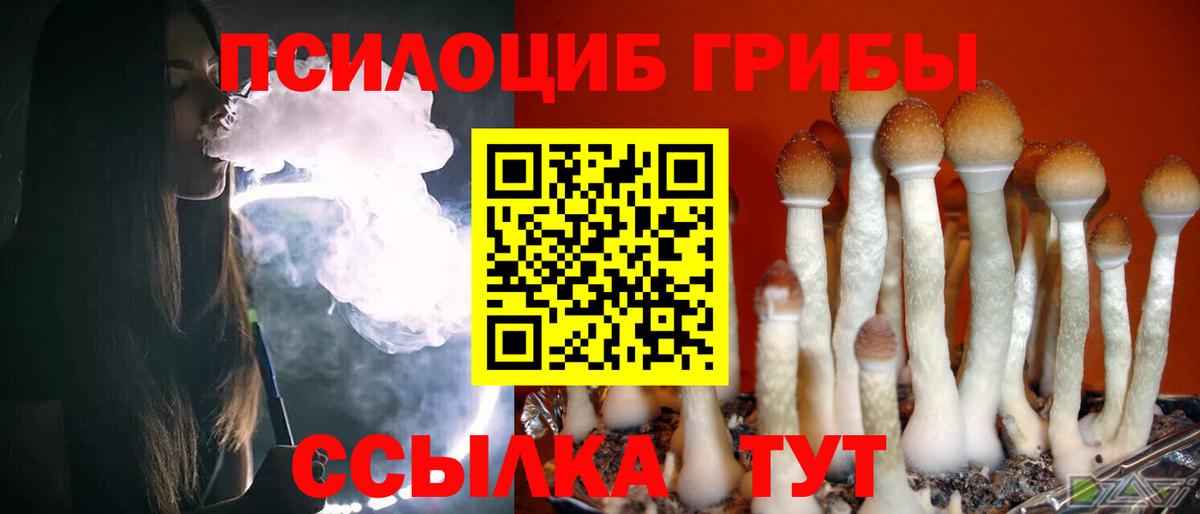 Магадан  Галлюциногенные грибы MAGIC MUSHROOMS  хочу   Вход с VPN 